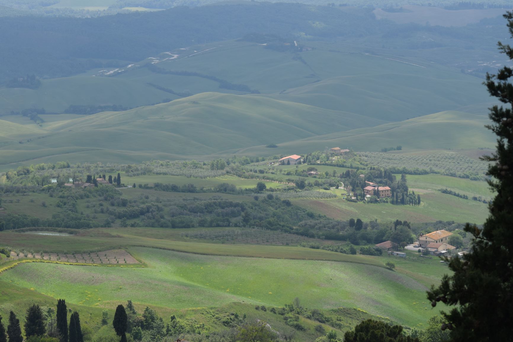 Rolling Tuscan Hills.JPG
